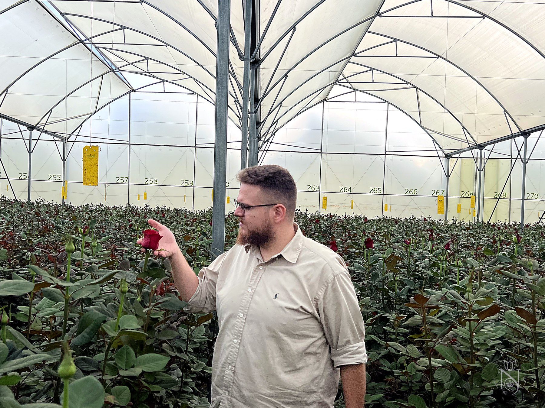 Inspecting roses at a partner farm in Kenya
