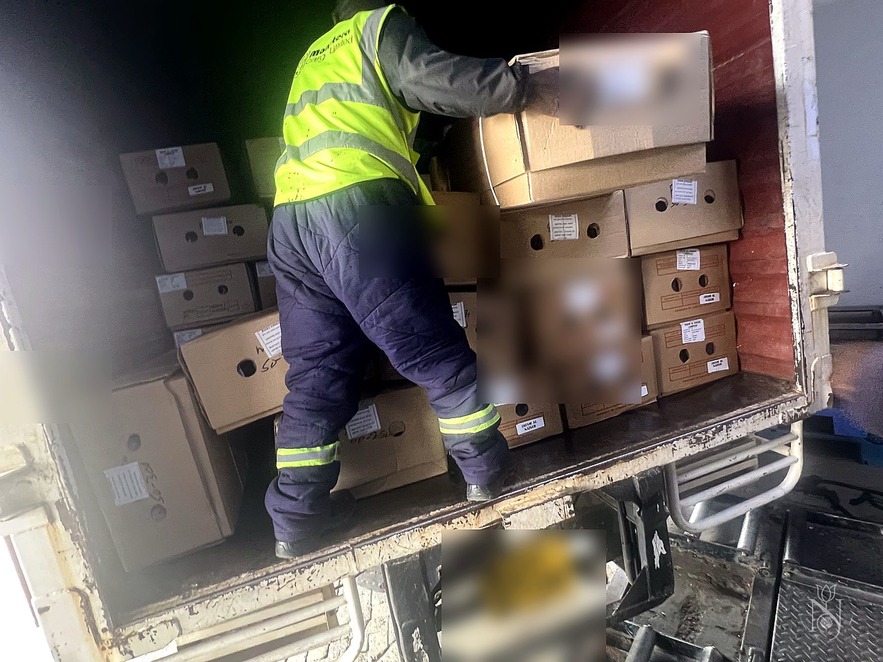 Kenyan rose shipment loading day — boxes pre-cooled for export